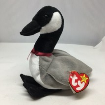 Ty Beanie Baby Loosy Canadian Goose Plush Stuffed Animal W Tag March 29 ... - £15.94 GBP