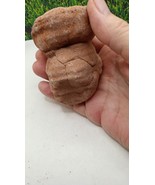 Large Moroccan Stromatolite  - 600 Million - 1 Billion yrs old ~free shi... - $764.46 MXN