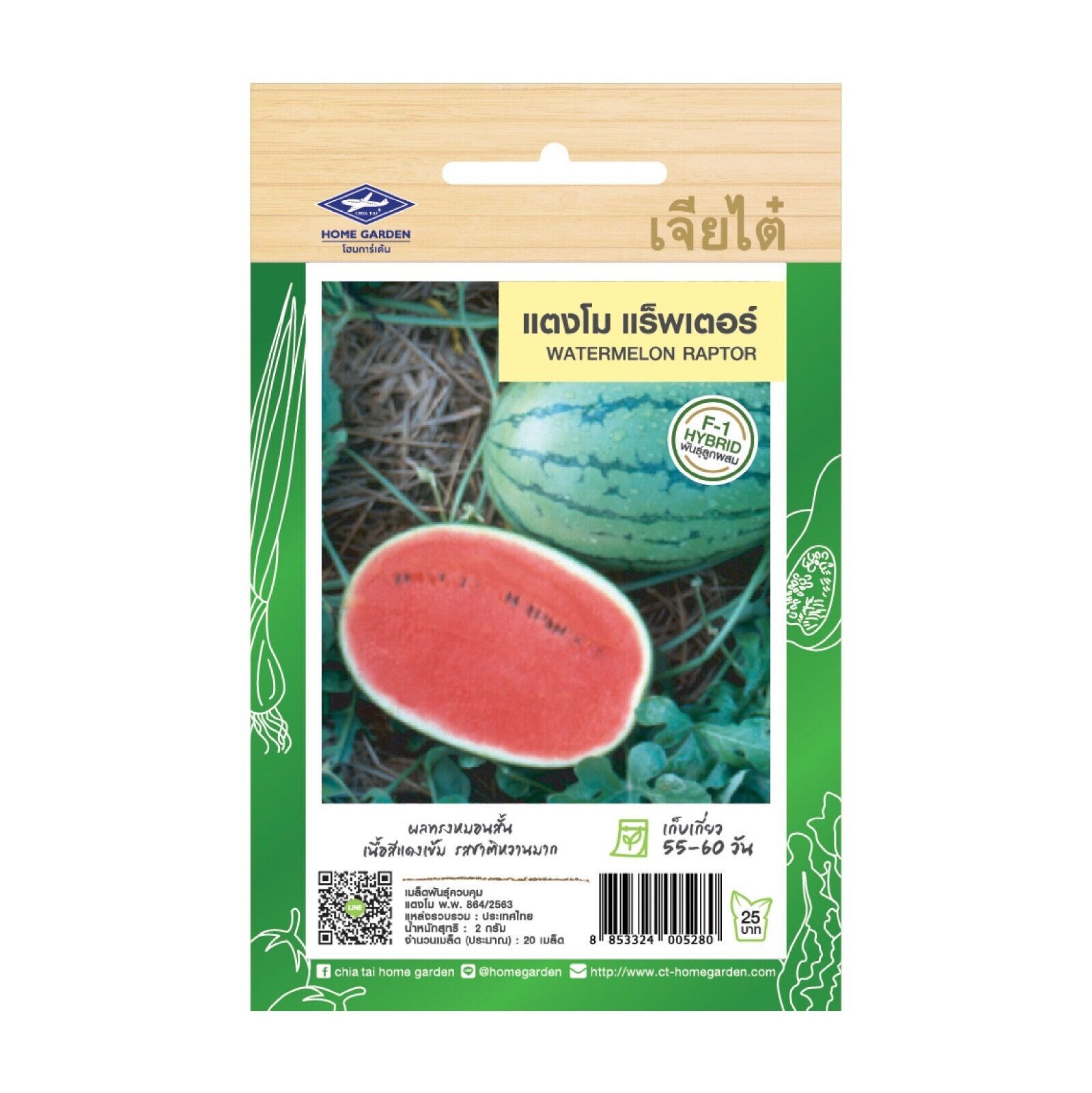 Watermelon Raptor Seeds Home Garden Asian Fresh Vegetable The Best Thai Seeds - $7.99