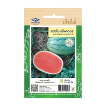 Watermelon Raptor Seeds Home Garden Asian Fresh Vegetable The Best Thai ... - $7.99