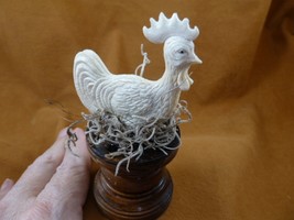 Chick-10 Rooster chicken on nest of shed ANTLER figurine Bali detailed c... - $68.24