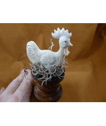 Chick-10 Rooster chicken on nest of shed ANTLER figurine Bali detailed c... - £54.34 GBP