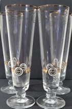 4 Warsteiner Pilsner Flute Glass German Beer Das Einzig Gold Rim 8 in 250 Jahre - £19.81 GBP