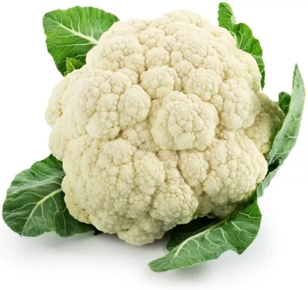 100 Snowball Cauliflower Seeds For Planting Easy To Grow Vegetable Usa Seller - £13.20 GBP