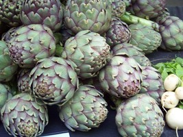 BRN 40 Seeds Artichoke Green Globe Heirloom Groco Fresh Garden - $8.97