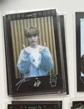 LEEKNOW Official Authentic Photocard Stray Kids [MANIAC]-LUCKYDRAW - $19.49