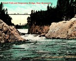 Grand Falls and Suspension Bridge St. John New Brunswick Canada UDB Post... - $3.91