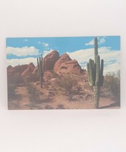 Saguaro Giant Cactus Arizona Vintage Postcard Unposted Mirro Krome - £7.78 GBP