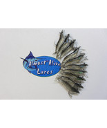 Almost Alive Artificial Soft Plastic Shrimp Lure 3-1/4&quot; Rigged Black/Cle... - €15,62 EUR