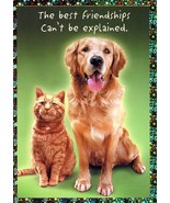 The Best Friendship Can&#39;t Be Explained - Blank Greeting Card - 00779 - $51.41 MXN