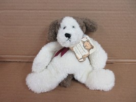 NOS Boyds Bears Northrop Plush Flat Puppy Dog  B88 C* - £21.53 GBP