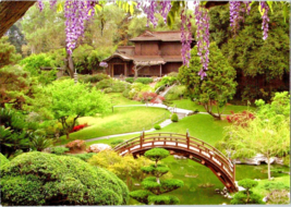 Postcard Wisteria Japanese Garden House 19th Century   6 x 4 inches Unposted - £4.59 GBP