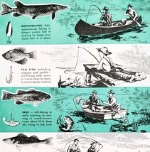 1948 Fishing Info-graphic Popular Mechanics Magazine Page Sporting Fish ... - $28.02 CAD