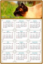 2023 Magnetic Calendar - Today is My Lucky Day - Cat Themed 03 (5.25 x 8) - £7.81 GBP