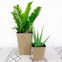 Catleza Set of 2 7-inch and 9.4-inch Square Self-Watering Planter Pot for Indoor - $35.89