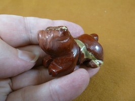 (Y-DOG-EB-569) Red BULLDOG bull dog gemstone carving FIGURINE stone love... - $14.01