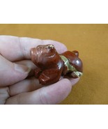 (Y-DOG-EB-569) Red BULLDOG bull dog gemstone carving FIGURINE stone love... - $19.15 CAD