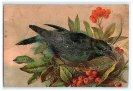 1880s Trade Card Bird In A Nest - £11.87 GBP