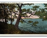 View From Shore Canandagua Lake New York NY  UNP WB Postcard I21 - £6.18 GBP