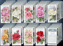 Tobacco Cards Full Set of 50 Roses Flowers 1926 WD &amp; HO Wills 04350 - £32.26 GBP
