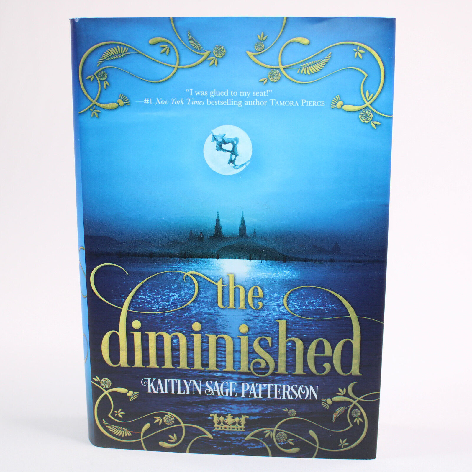New The Diminished By Patterson Kaitlyn Sage Hardcover Book w/Dust Jacke... - $4.75