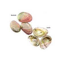 2 - 3 Abalone Shell Incense Burner - $4.79