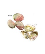 2 - 3 Abalone Shell Incense Burner - €4,15 EUR
