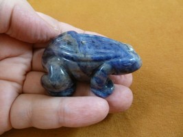 (Y-FRO-732) blue Sodalite FROG frogs gemstone stone CARVING figurine amp... - $17.53