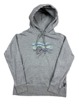 Patagonia Sweatshirt Women’s Gray Organic Pullover Hoodie Raindrop Peak ... - £19.48 GBP