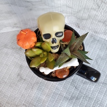 Halloween Planter with Live Succulents, Mug Garden, Skull Halloween fairy garden image 5