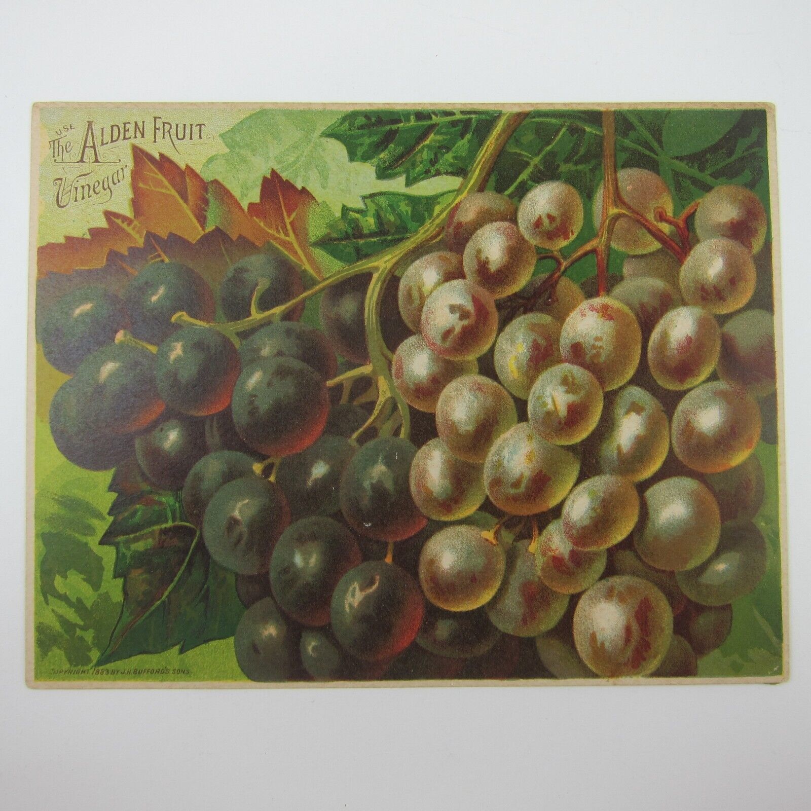 Primary image for Victorian Trade Card LARGE Alden Fruit Vinegar Grapes AL Higley NY Antique 1883