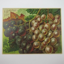 Victorian Trade Card LARGE Alden Fruit Vinegar Grapes AL Higley NY Antiq... - £23.52 GBP