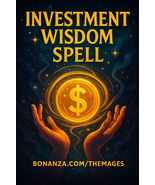 Investment Wisdom Spell: Unlock the Power of Smarter Financial Decisions - $39.00