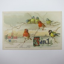 Postcard New Year&#39;s Birds Snowy Tree Branch Winter Winsch Gold Embossed Antique - £11.72 GBP