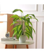 22&quot; Fake Plants Artificial Tropical Plant Indoor in White Pot for Home O... - $362.91 MXN