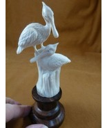 Pel-2) Pair Pelicans sitting birds shed ANTLER figurine Bali detailed ca... - $1,629.79 MXN