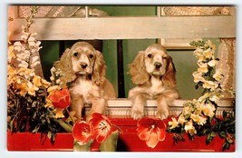 Cocker Spaniel Puppy Dogs In Window Vintage Postcard Chrome Cute Animals Unused - £7.90 GBP