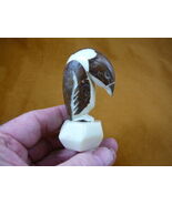 TNE-PEN-282B) Emperor Penguin ice bird TAGUA NUT figurine Antarctica King - $568.48 MXN