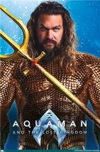 DC Comics Aquaman And The Lost Kingdom Jason Momoa Poster 22.375&quot; x 34&quot; NEW! - £7.81 GBP