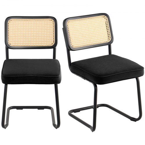  Rattan Dining Chairs Set  of 2, Mid Century Modern Dining Chair, Uphols... - $137.47