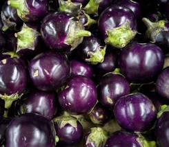 100+ Round Purple Eggplant Thai , Cà Pháo Seeds Organic 2023, Usa - £2.76 GBP