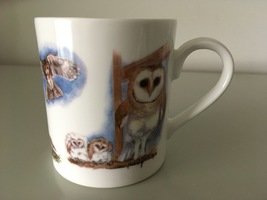 Owls Mug By Alison Vickery - £3.74 GBP