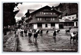 RPPC Mucche Walking Down Street Vista Zermatt Svizzera Cartolina S13 - £13.43 GBP