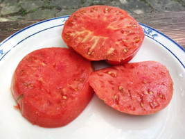 Fresh Garden 120+ German Johnson Tomato Seeds Non GMO Heirloom Organic LARGE - £7.79 GBP