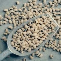 Black Eyed Peas (Southern Cowpeas) Seed - £3.92 GBP