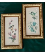 2 Carol Shores Wright Hummingbird Watercolor Prints Gold Frames - $407.72 MXN