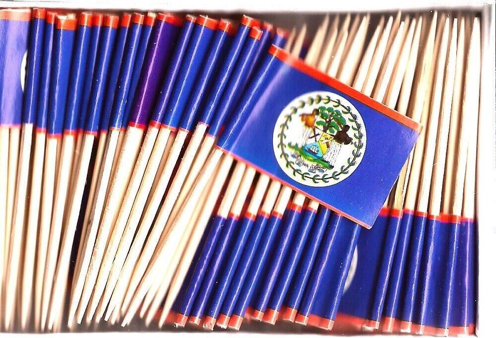 One Box of 100 Belize Toothpick Flags, 100 Small Mini Cupcake Flags - $7.90