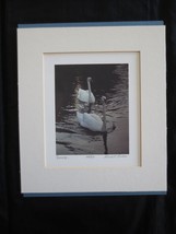 Matted Gerald L. Lubeck Signed &amp; Numbered Serenity Art Print - 8&quot; X 9-1/2&quot; - $48.51