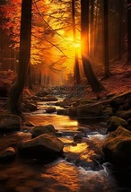 River Stream In Forest Sunset Wall Art 13X19 Photo Poster - £13.99 GBP