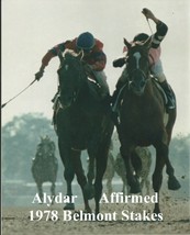 1978 - AFFIRMED &amp; ALYDAR dueling in Belmont Stakes - Color Close Up - 8&#39; x 10&quot; - £15.05 GBP